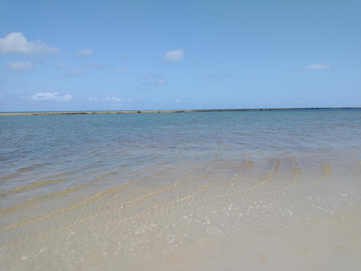 Palm Village Acqua - Apartamento Premium - Em Frente A Piscina - Pôrto das Galinhas Eksteriør bilde